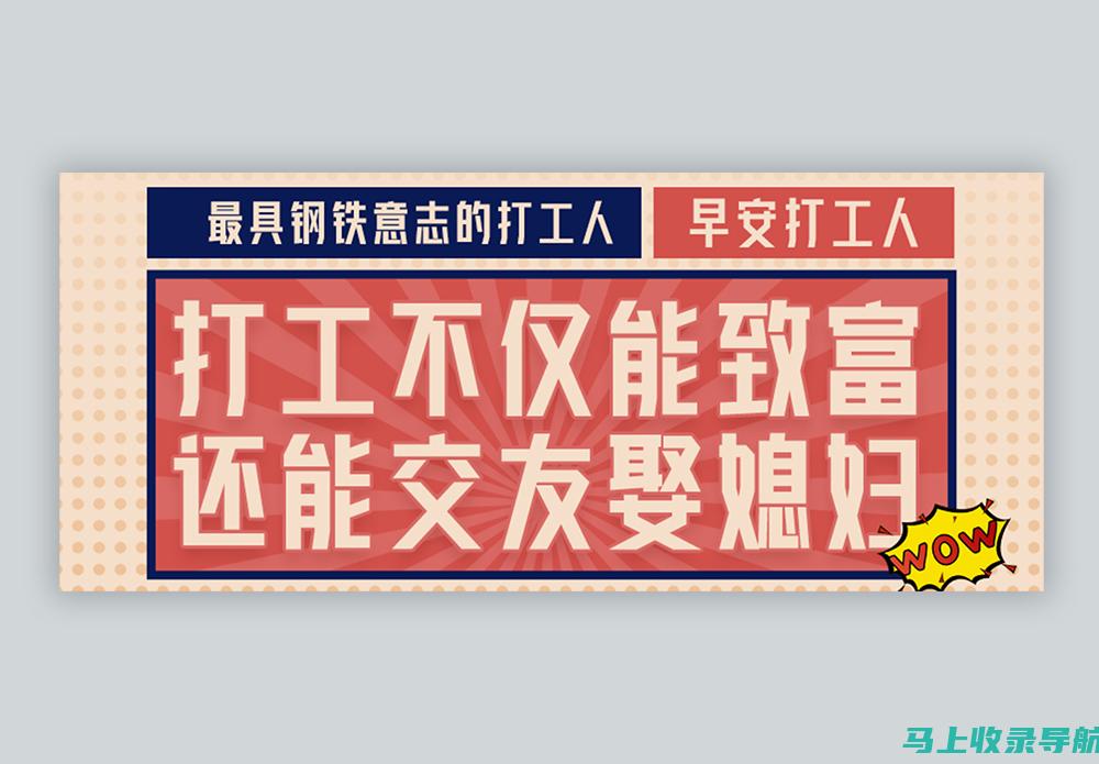 站长必备技能：掌握站长之家网站查询，成为数据分析高手